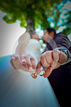 Bride and the groom kissing and showing their engagement rings, vertical