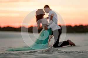 Bride and groom kneel and look at each other next to owl in desert.