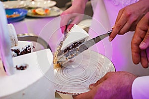 Bride and groom lay a cut piece of cake on a plate, bride and groom cut a wedding cake together