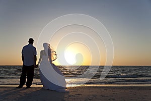 Bride & Groom Married Couple Sunset Beach Wedding