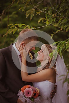 Bride and groom in a park kissing.couple newlyweds bride and groom at a wedding in nature green forest are kissing photo