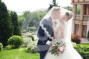 Bride and groom in a park. Kissing couple newlyweds bride and groom at wedding in nature green forest are kissing photo portrait.W