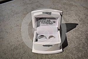 Bride and Groom Rings for Wedding Ceremony photo