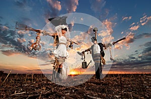 The bride and groom scarecrows