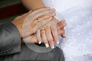 Bride and groom show their hands wearing wedding rings