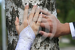 Bride and groom show their hands wearing wedding rings