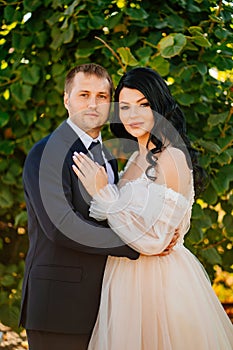 bride and groom stand by a bush with green foliage in the park.