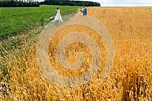 The bride and groom stand in the field, in summer.