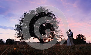 The bride and groom are standing next to a large tree, after the wedding ceremony. Silhouette photo in warm colors.