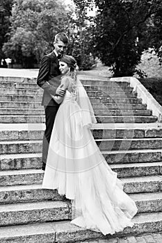 The bride and groom on the steps of the stairs. Newlyweds