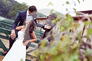 Bride and groom at stud black horse