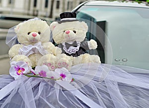 Bride and groom Teddy wedding bears attached to the car