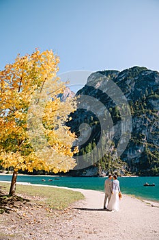 Bride and groom under an autumn tree, with fiery yellow foliage, at the Lago di Braies in Italy. Destination wedding in