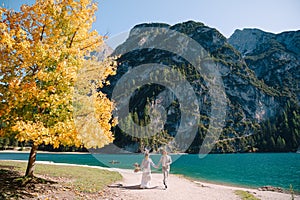 Bride and groom under an autumn tree, with fiery yellow foliage, at the Lago di Braies in Italy. Destination wedding in