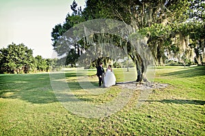 Bride and Groom under tree