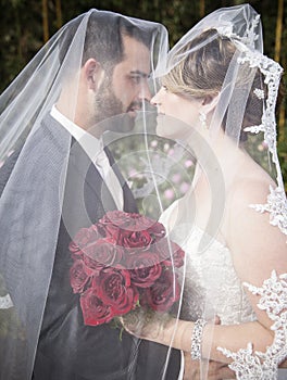 Bride and groom under veil