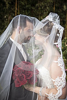 Bride and groom under veil