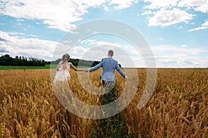 The bride and groom are walking in the wheat field. View from the back
