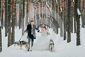 Bride and groom walks in the snowy forest with two siberian husky. Winter wedding. Artwork