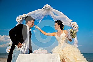 Bride and Groom with wedding cake