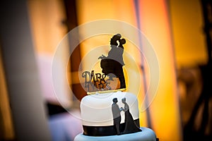 Bride and groom wedding cake decoration