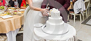 Bride and Groom at Wedding Reception Cutting the Cake