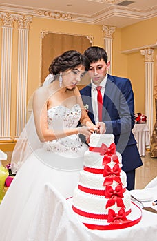 Bride and Groom at Wedding Reception Cutting the Cake