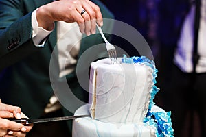 Bride and groom at wedding reception cutting the wedding cake with flowers