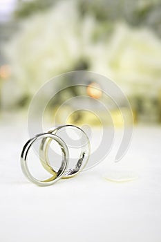 Bride and groom wedding rings