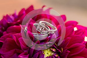 Bride and Groom Wedding Rings on Flowers