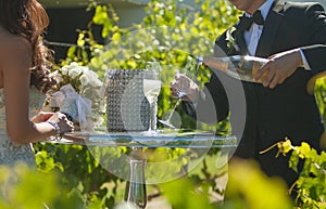 Bride and groom wedding sharing a toast