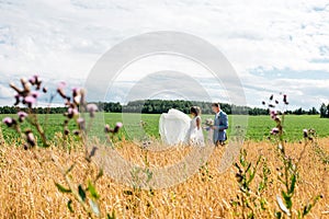 The bride and groom in the wheat field