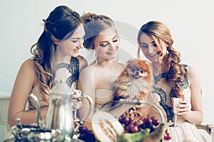 Bride with her friends and beloved pet during the bachelorette party