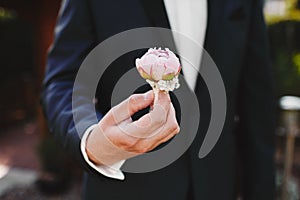 The bride holding in hand close-up the groom`s buttonhole flowers with white roses, and green and greenery