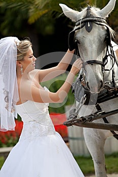 Bride with horses