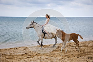 Bride and horses on the beach