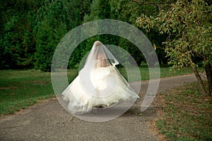 The bride in a lavish wedding dress