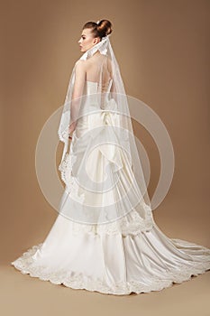 Bride in Light Sumptuous Dress and Veil photo