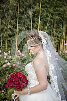 Bride with long veil standing by rose garden