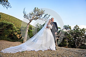 The bride in a long white dress and the groom in a suit stand against the backdrop of an old forest and mountains.