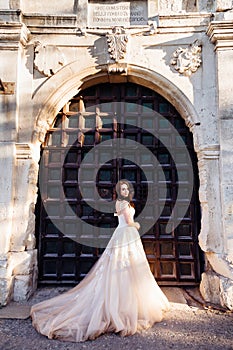 Bride in luxurious dess stands before the huge steel gates