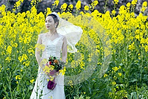 Bride portraint with white wedding dress in cole flower field