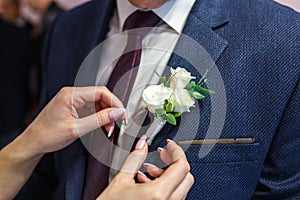 Bride puts groom on boutonniere from pink and whote rose on wedding day