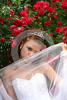 Bride in the Red Roses