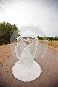 Bride on the road