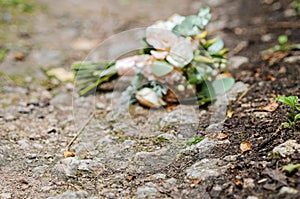 the bride's beckett with wedding rings lies on the road