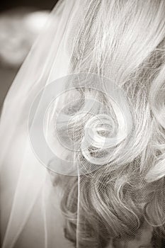 A bride's curled hair in a veil