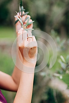 Bride& x27;s hands are holding a green branch of a tree. Close-up