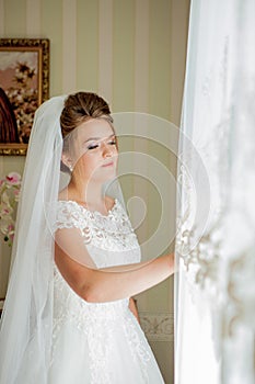 Bride`s morning.The fees of the bride.Wedding photo