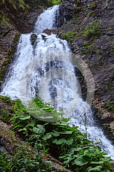 Bride's Veil Waterfall